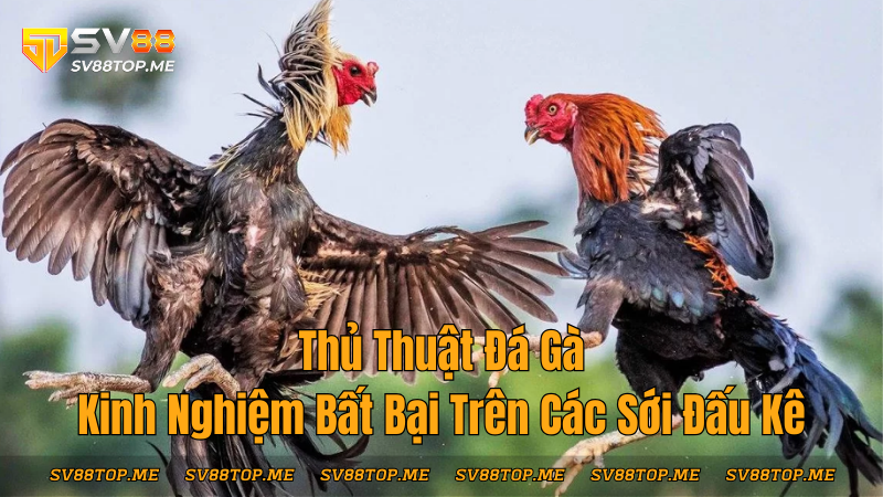 sv88-thu-thuat-da-ga-kinh-nghiem-bat-bai-tren-cac-soi-ga